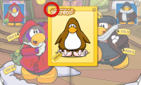 /album/descubre-un-secreto%c2%a1%c2%a1%c2%a1/pantuflas-png/